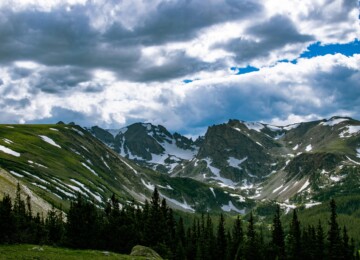 Pexels travis saylor 1202047