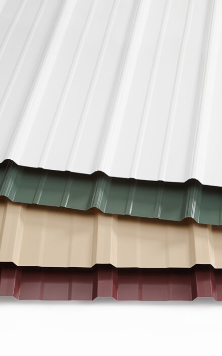 Kristen Igo 17503 0216 F